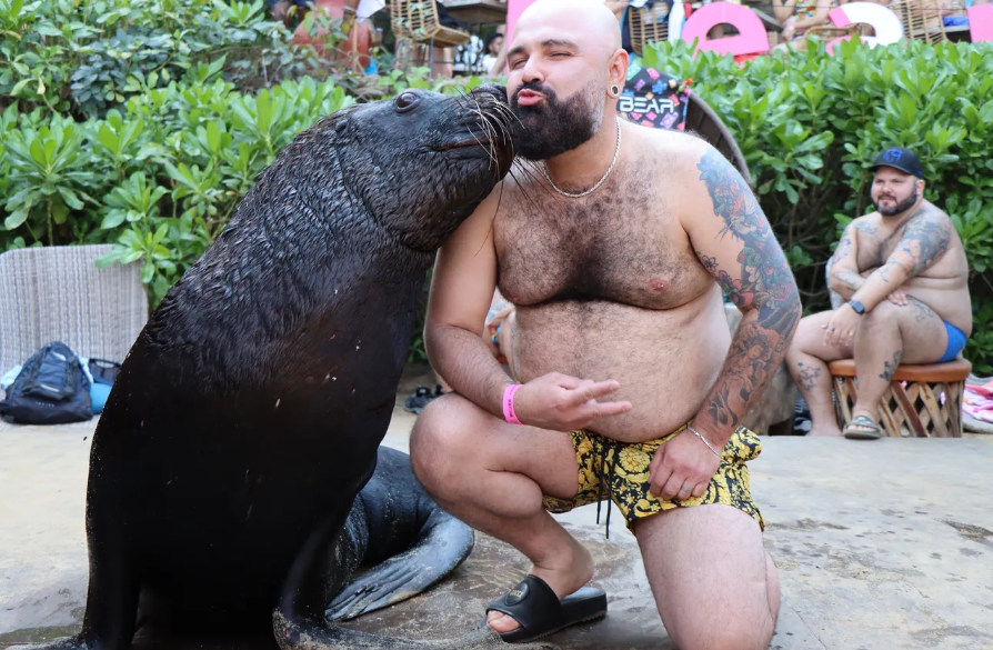 gay travel puerto vallarta bear week