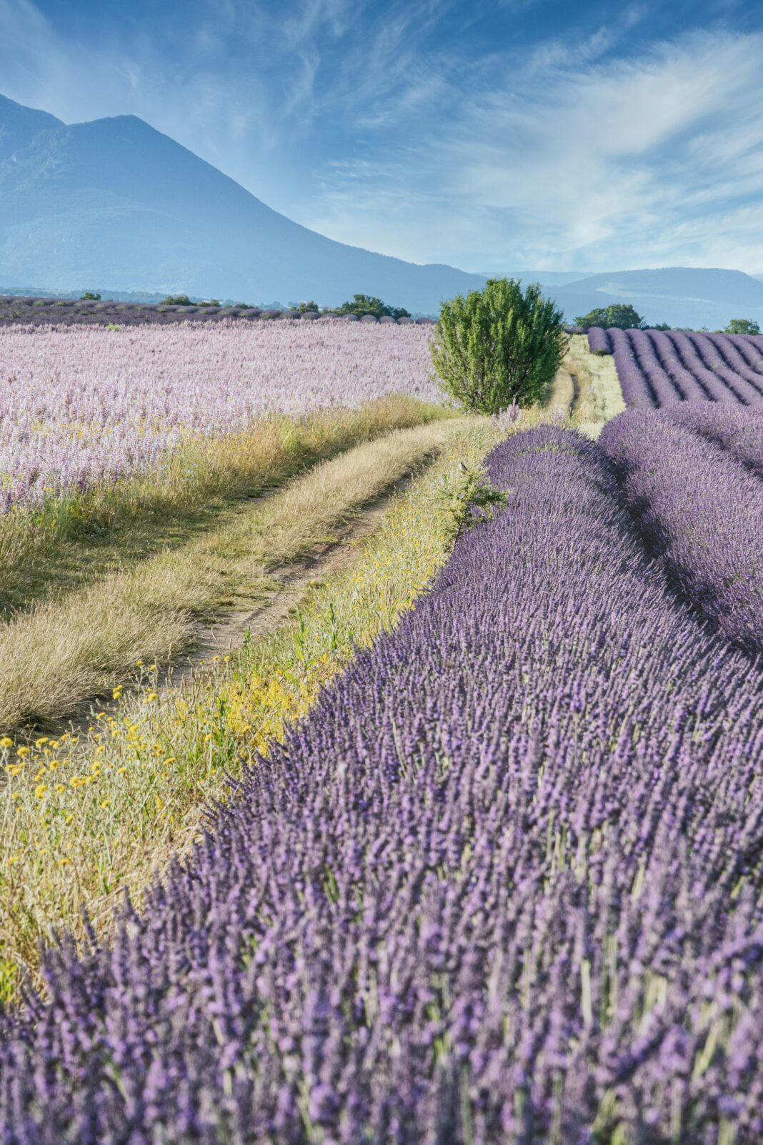 gay friendly provence