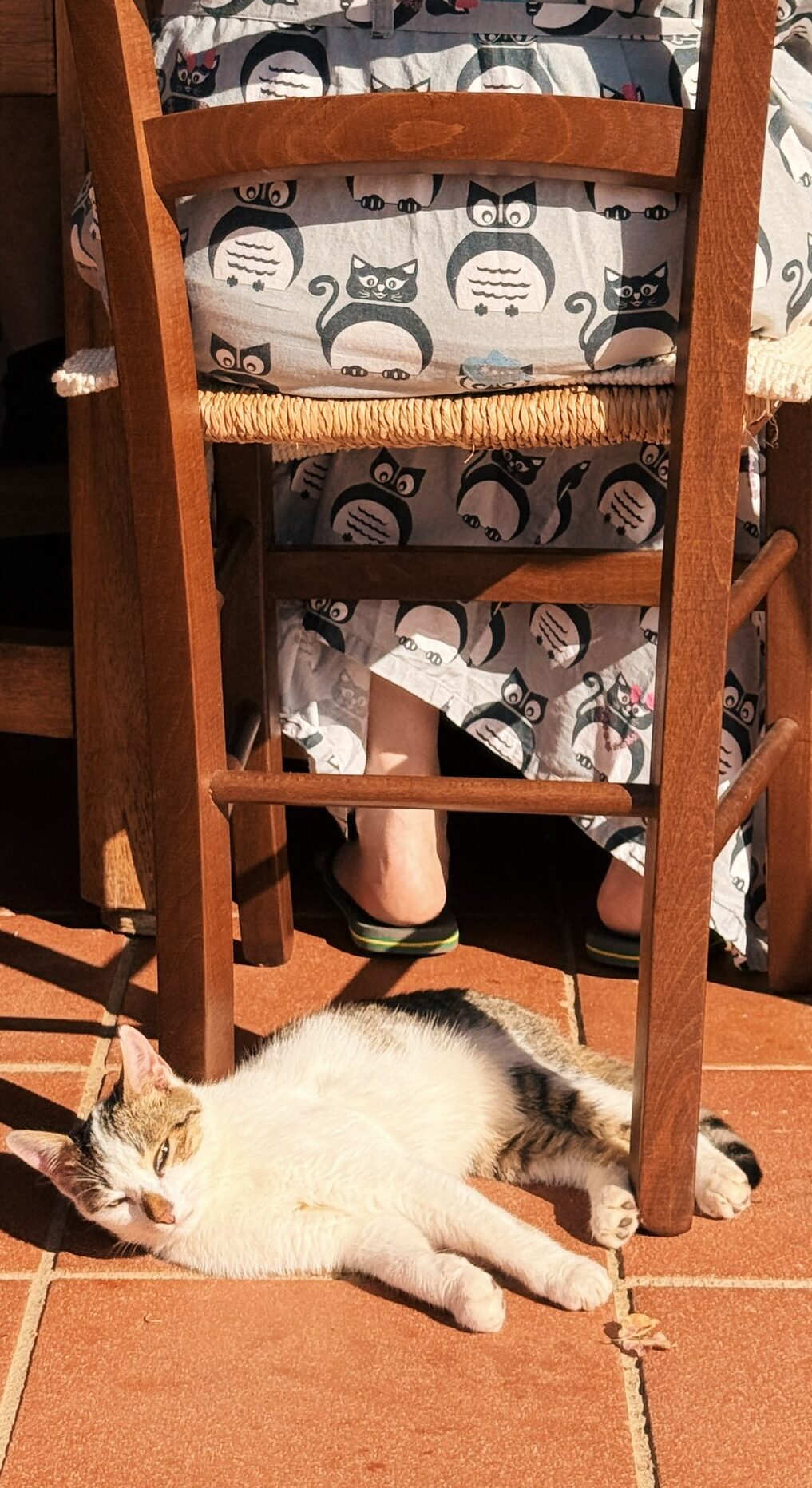 queer group trip to sardinia